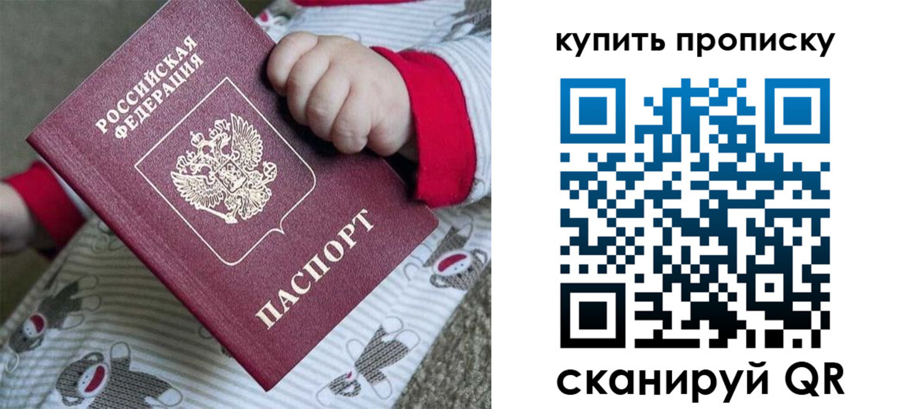 где прописаться в Кандалакше